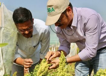 Harnessing Renewable Energy for Food Security in South Asia