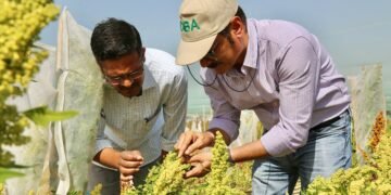 Harnessing Renewable Energy for Food Security in South Asia