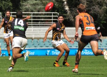 Richmond Tigers Stun Sydney Swans in Thrilling Upset Victory