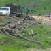The Hidden Cost of Fashion: Brazil’s Deforestation Crisis