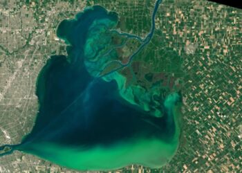 Algal Alert: The Invisible Danger in Serene Waters