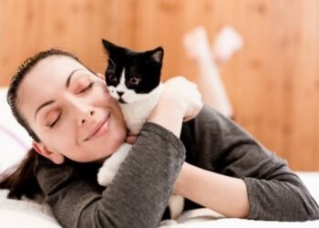 Cat Lovers Rally to Save Kitten’s Life: A Heartwarming Tale