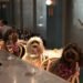 Spartanburg’s Marriott Offers Dog-Friendly Dining Experience
