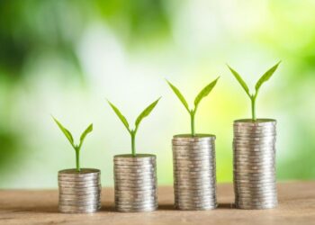 Banking on a Greener Future: The Rise of Transition Finance