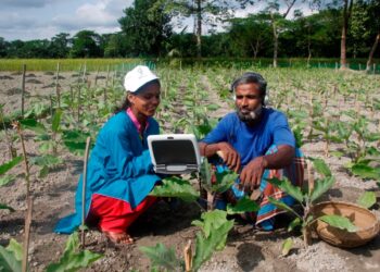 Digital Multimedia: A Catalyst for Agricultural Green Technology Adoption