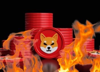 MOONHOP Presale Skyrockets: Shiba Shootout Value Soars and Bonk Investors Diversify