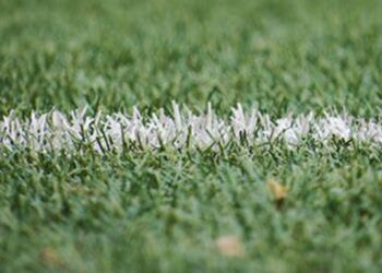 Australian Olympians Turn to OnlyFans to Fund Their Dreams