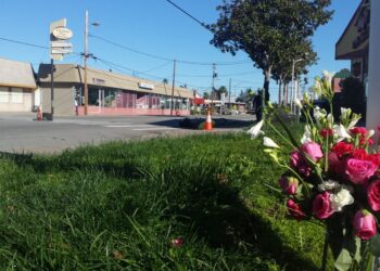 Tragic Hit and Run in Port Melbourne DoorDash Driver Killed Man Charged Tragic Hit-and-Run in Port Melbourne: DoorDash Driver Killed, Man Charged