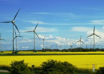 Waaree Renewable Technology Limited Reports Exceptional Growth in Q1 FY25