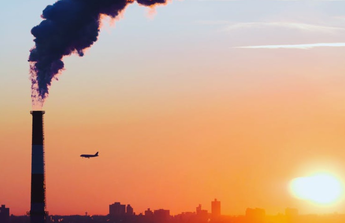 Net Zero: Breaking Down the Bill
