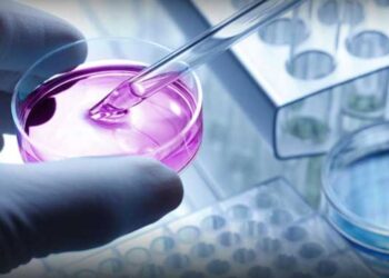 Transforming Pharmaceutical Manufacturing The Visionary Work of Tejesh Marsale Transforming Pharmaceutical Manufacturing: The Visionary Work of Tejesh Marsale