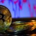 Bitcoin’s Exodus from Exchanges: A Prelude to New Highs?