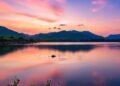 things to do in halol