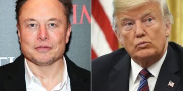 Donald Trump Elon Musk public feud news