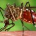 smart mosquito control system india