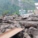 Jammu and Kashmir cloudburst rescue operations