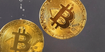 A new ECB study warns that big crypto DAOs